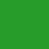 ciemny zielony /69f/